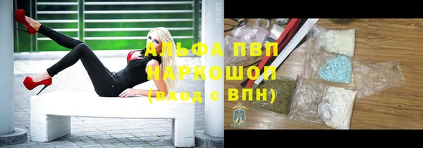 СК Липки