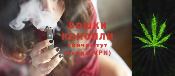 ALPHA PVP Лагань