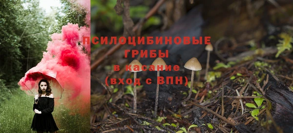 ALPHA PVP Лагань