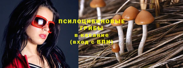 скорость mdpv Лихославль