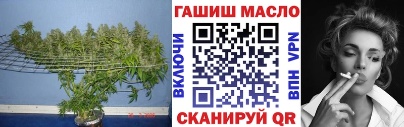 ТГК жижа  Купить закладки  Новодвинск 